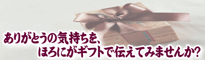 ほろにが特選ギフト