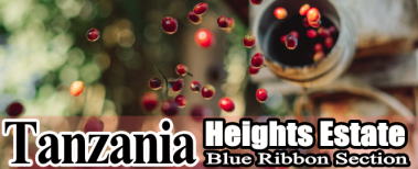 タンザニア/ハイツ農園
