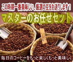 マスターのお任せセット