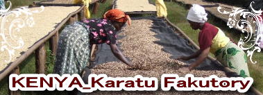 ケニア・カラツ