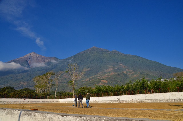 グアテマラ_サンタカタリーナ農園_中深煎り