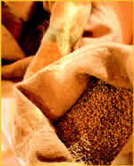 コーヒーの麻袋！国によって質がチョットずつ変わります。